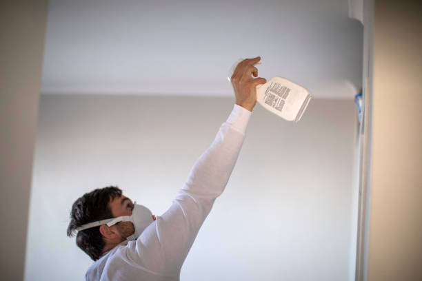 Best Home Mold Removal  in Fairport, NY