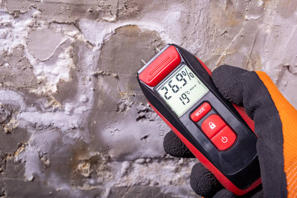 Best Mold Cleaning Services  in Fairport, NY